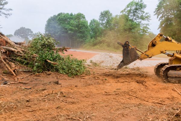 Ground Clearing in Panama City