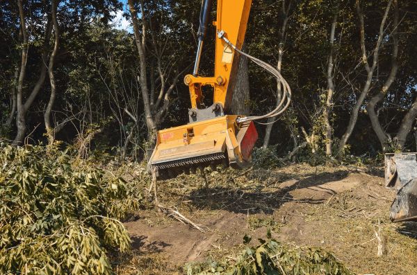 Brush Removal Service in Panama City