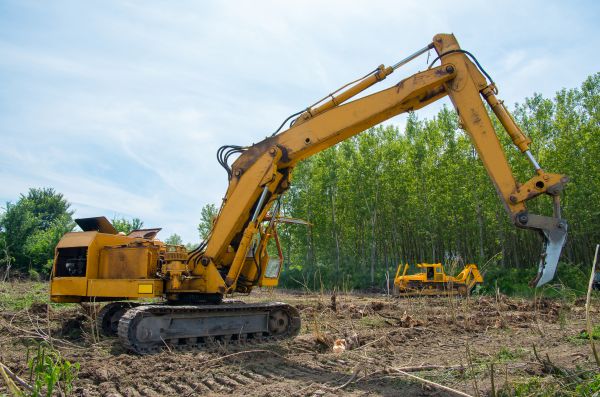 Cost of Farm Clearing in Panama City