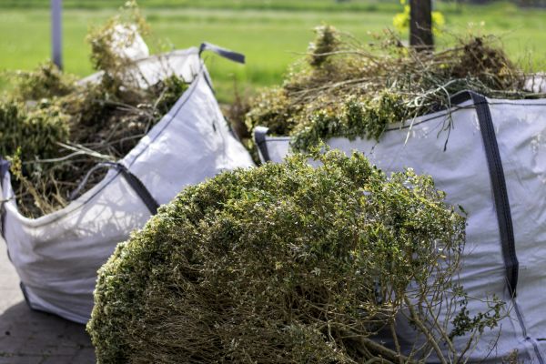 Cost of Bushes Clearing in Panama City