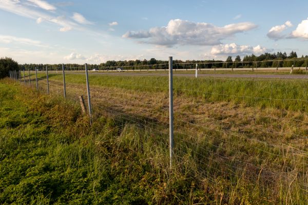Property Line Clearing in Panama City