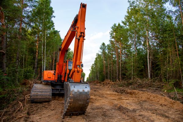 Cost of Backhoe Land Clearing in Panama City