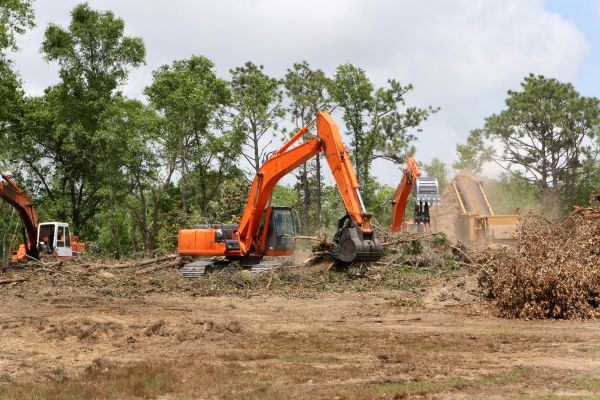 Cost of Commercial Lot Clearing in Panama City