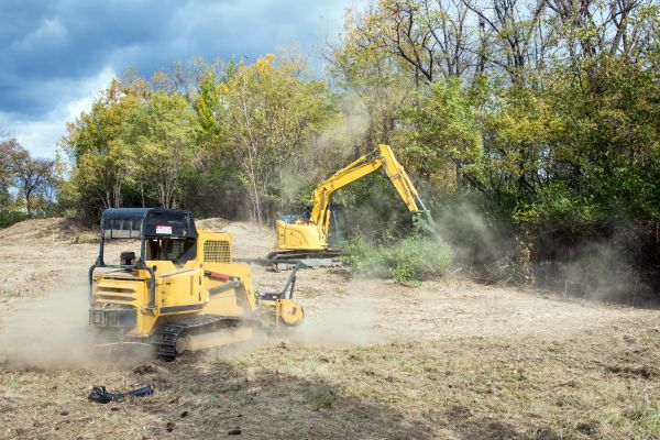 Terrain Clearing in Panama City